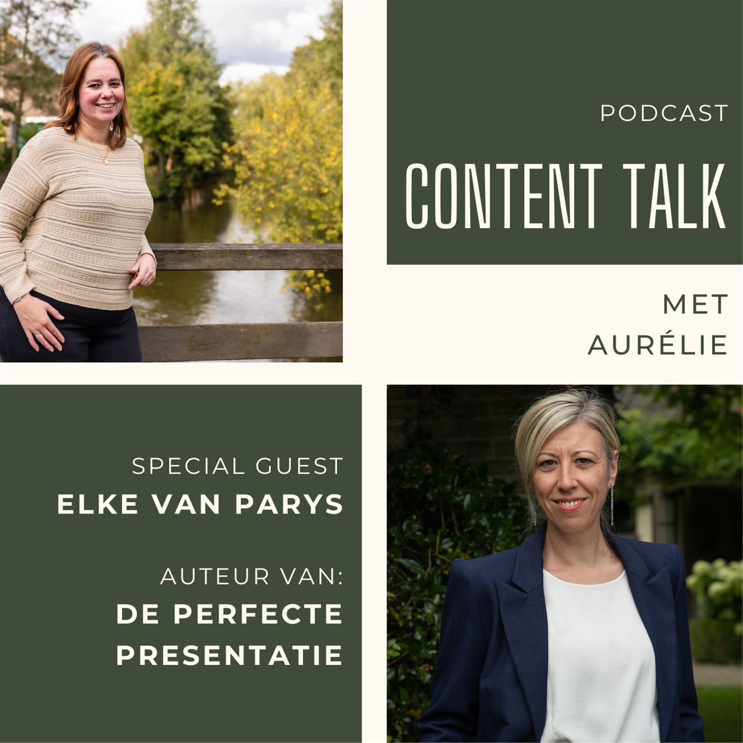 #190 Omarm je imperfecties: In gesprek met Elke van Parys, van 'De perfecte presentatie' Artwork